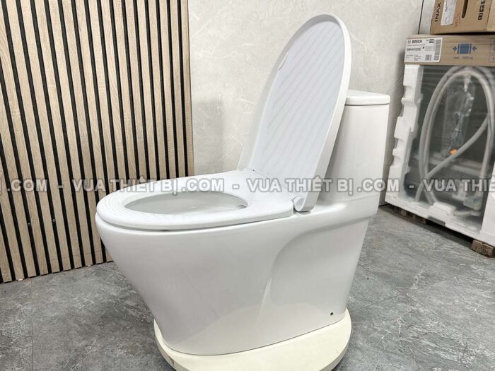 Bồn cầu thông minh INAX AC-989 CW-S15VN nắp rửa cơ - Ảnh 9