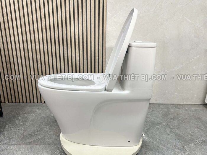 Bồn cầu thông minh INAX AC-989 CW-S15VN nắp rửa cơ - Ảnh 8