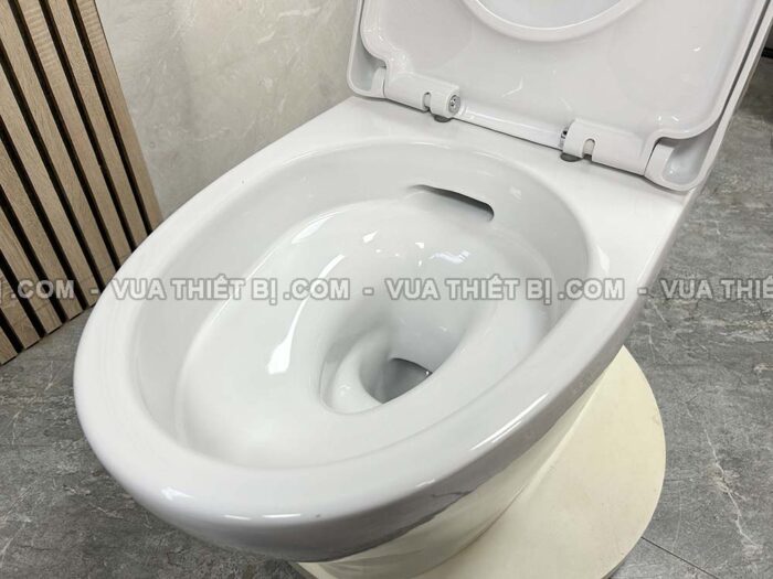 Bồn cầu thông minh INAX AC-989 CW-S15VN nắp rửa cơ - Ảnh 6