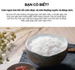 Nồi cơm điện tử CUCKOO CRP-AHXB1060FB 1.8L áp suất cao tần - Ảnh 5