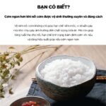 Nồi cơm điện tử CUCKOO CRP-M1000S P2PGVNCV 1.8L áp suất - Ảnh 5