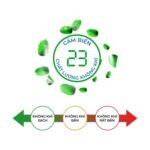 Quạt điều hòa RAPIDO TURBO - Everest 9000D - Ảnh 5