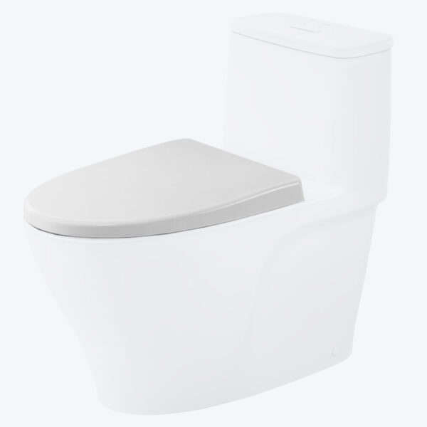 Nắp bồn cầu INAX CF-502VS rơi êm