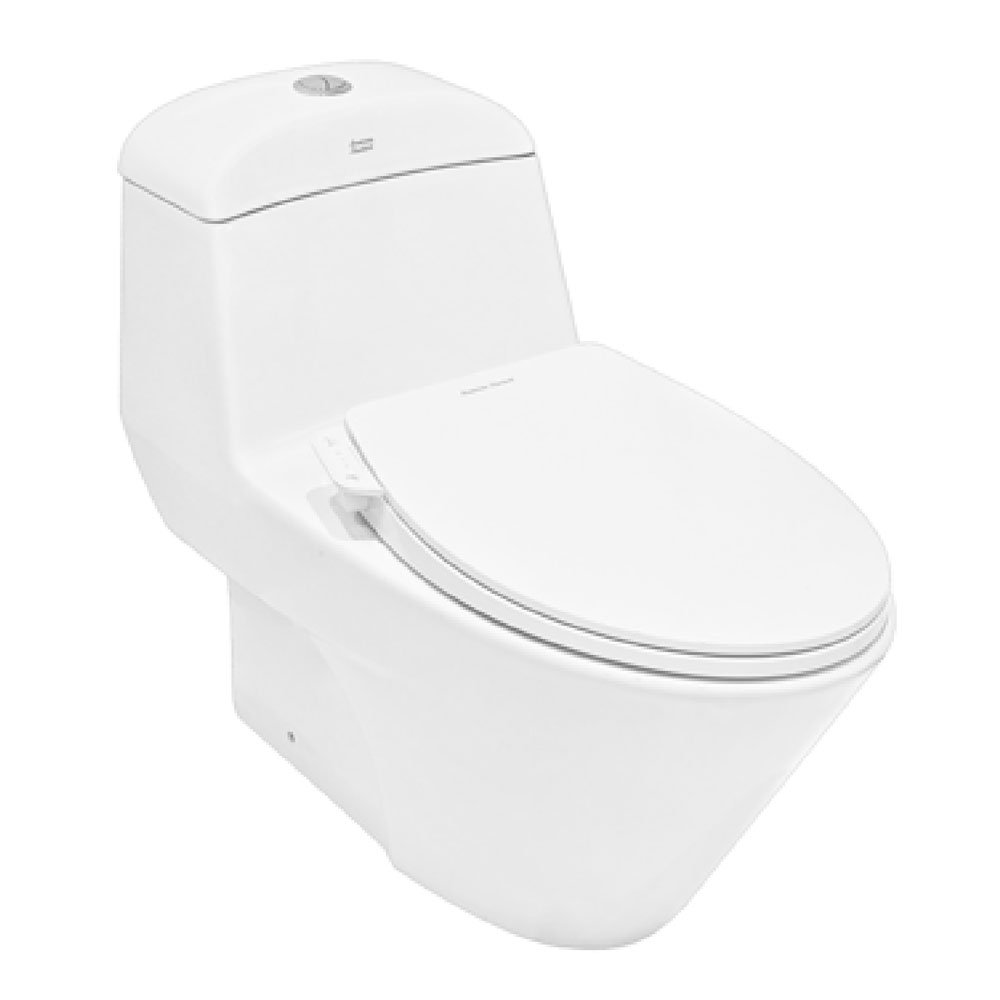 Bon cau thong minh AMERICAN STANDARD VF 2011SW nap rua co M4A839