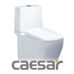 Bồn cầu 2 khối CAESAR-category-image