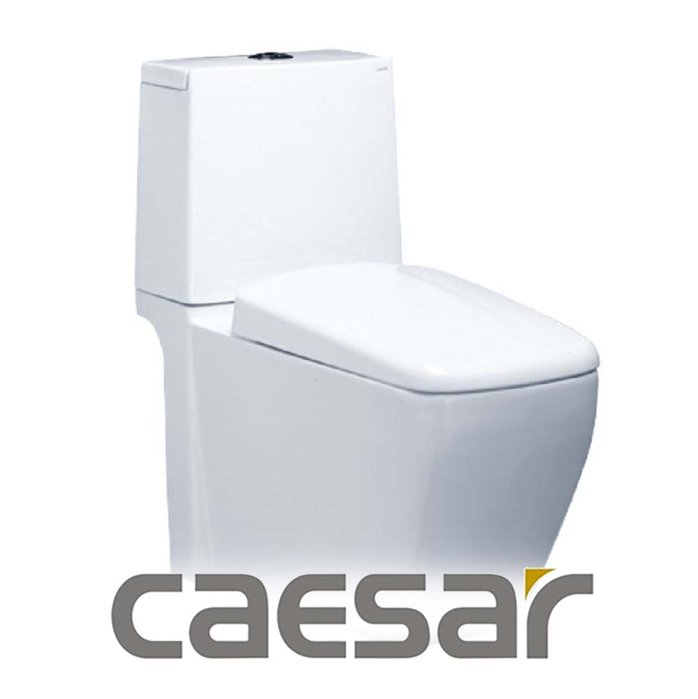 Bồn cầu 2 khối CAESAR-category-image