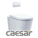 Bồn cầu treo tường CAESAR-category-image