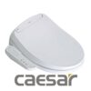 Nắp bồn cầu CAESAR-category-image