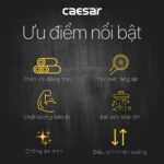 Vòi sen cây CAESAR S338C nóng lạnh - Ảnh 4