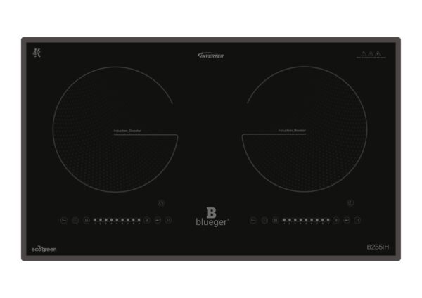 Bếp từ Blueger B255IH