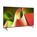 Tivi LG 55B4PSA 55 inch 4K OLED Smart - Ảnh 5