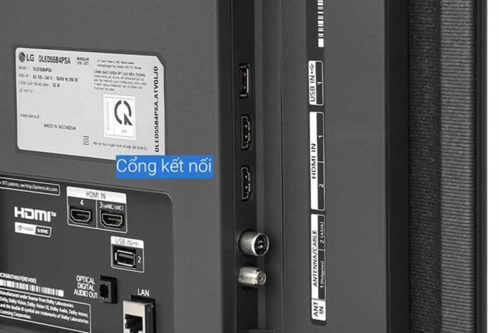Tivi LG 55B4PSA 55 inch 4K OLED Smart - Ảnh 8