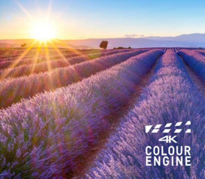 Tivi Panasonic TH-43LX650V 43 inch 4K LED Android - Ảnh 6