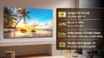 Tivi TCL 43P79B 43 inch 4K LED Google - Ảnh 2