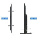 Tivi Toshiba 50M550LP 50 Inch 4K QLED Google - Ảnh 9