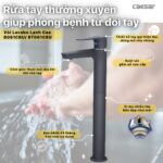 Vòi lavabo CAESAR B061CBU cổ cao nước lạnh - Ảnh 3
