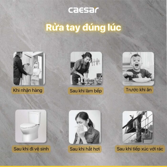 Vòi lavabo CAESAR B061CBU cổ cao nước lạnh - Ảnh 5