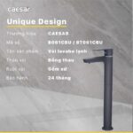 Vòi lavabo CAESAR B061CBU cổ cao nước lạnh - Ảnh 11