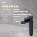 Vòi lavabo CAESAR B571CBU cổ cao nóng lạnh - Ảnh 10