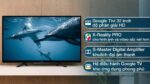 Tivi Sony KD-32W830K 32 Inch HD LED Google - Ảnh 2