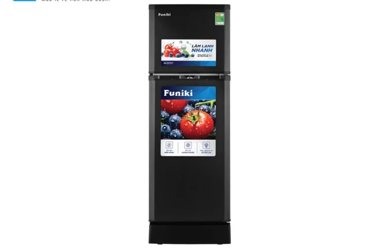 Tủ Lạnh Funiki HR T6209TDG 2 Cánh 209 Lít