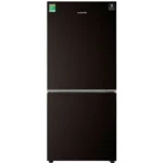 Tủ Lạnh Samsung RB30N4010BU/SV 2 Cánh 310 Lít Inverter