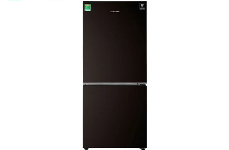 Tủ Lạnh Samsung RB30N4010BU/SV 2 Cánh 310 Lít Inverter