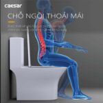 Bồn cầu 1 khối CAESAR C1391 nắp êm M260 - Ảnh 4