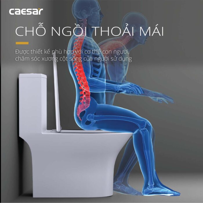 Bồn cầu 1 khối CAESAR C1391 nắp êm M260 - Ảnh 4