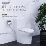 Bồn cầu 1 khối CAESAR C1391 nắp êm M260 - Ảnh 5