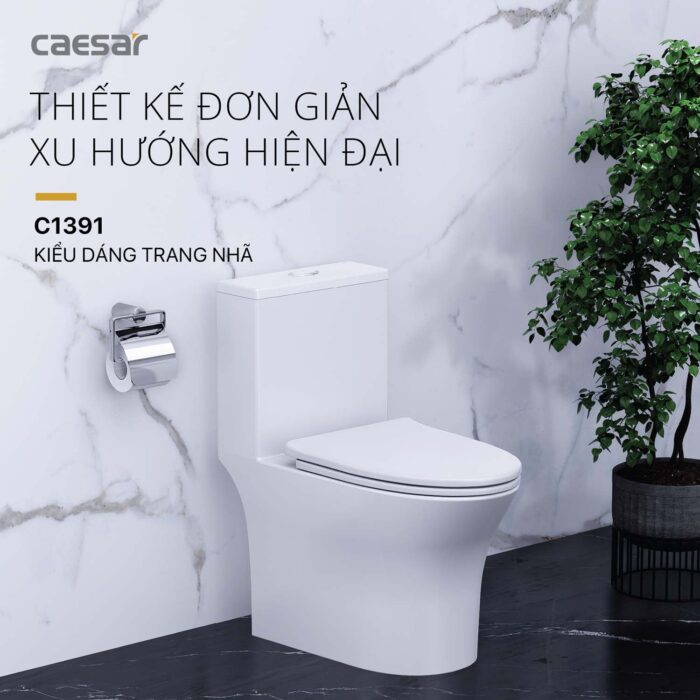 Bồn cầu 1 khối CAESAR C1391 nắp êm M260 - Ảnh 5
