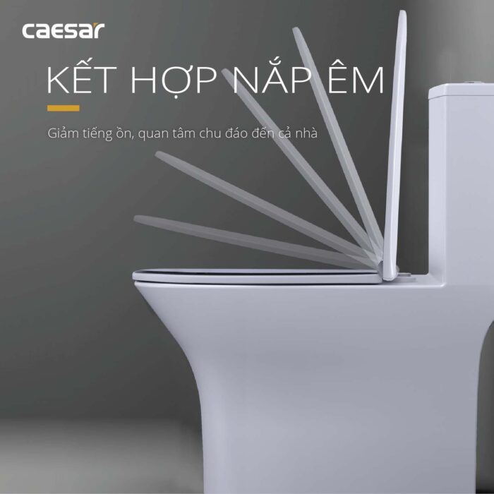 Bồn cầu 1 khối CAESAR C1391 nắp êm M260 - Ảnh 10