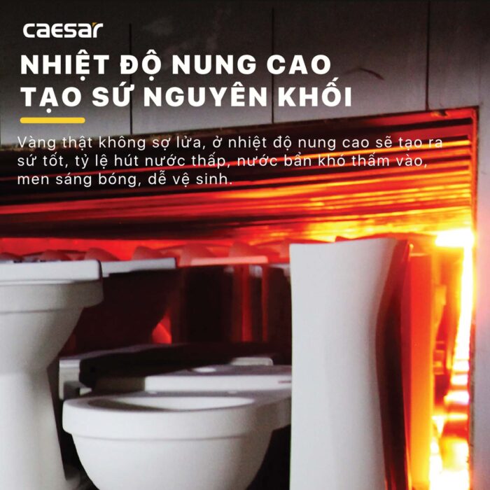 Bồn cầu treo tường CAESAR CPT1505 két nước âm TH1520 - Ảnh 8