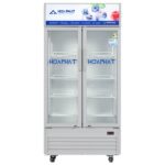 Tủ Mát Hòa Phát HSR D6526 526 Lít