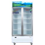 Tủ Mát Sanaky VH-1009HP 2 Cánh 800 Lít