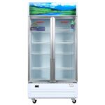 Tủ Mát Sanaky VH-1009HP3 Inverter 800 Lít 2 Cánh