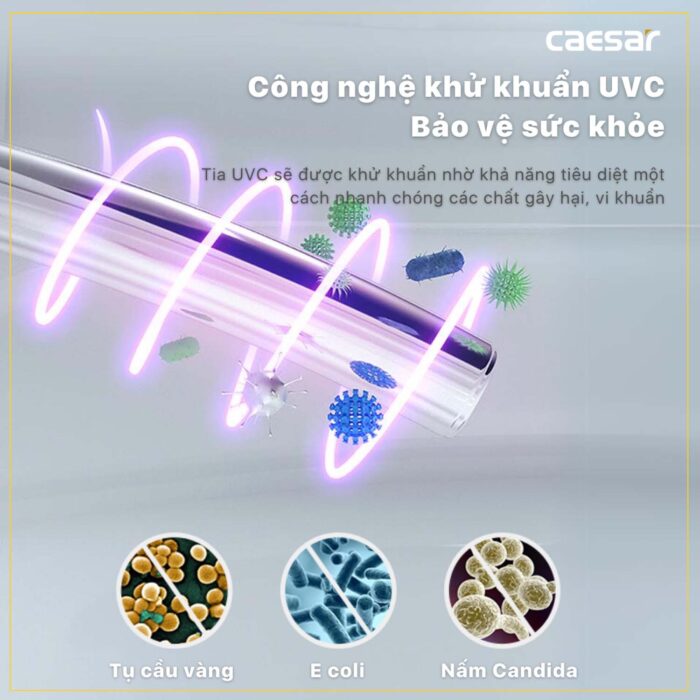Bồn cầu thông minh CAESAR CD1325 TAF512H nắp rửa điện tử - Ảnh 17