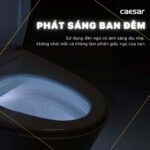 Nắp bồn cầu thông minh CAESAR TAF610H - Ảnh 12