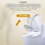 Nắp bồn cầu thông minh CAESAR TAF610H - Ảnh 20