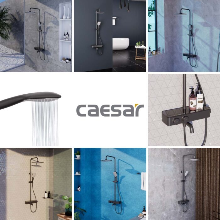 Vòi sen cây Caesar S788CB nhiệt độ - Ảnh 3