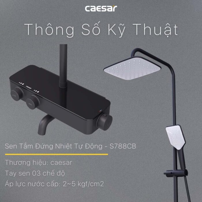 Vòi sen cây Caesar S788CB nhiệt độ - Ảnh 13