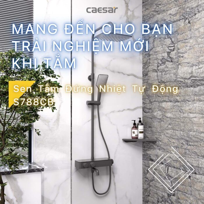 Vòi sen cây Caesar S788CB nhiệt độ - Ảnh 4