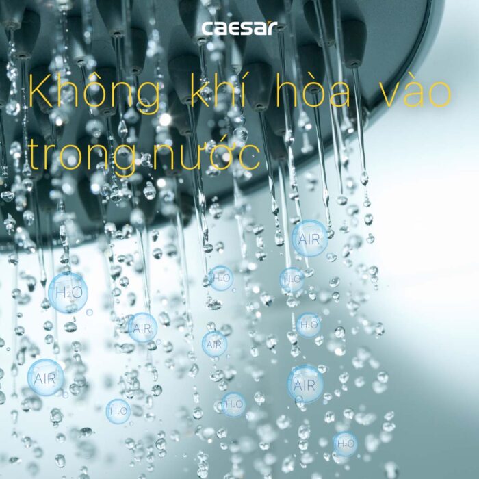 Vòi sen cây Caesar S788CB nhiệt độ - Ảnh 6