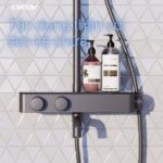 Vòi sen cây Caesar S788CB nhiệt độ - Ảnh 8