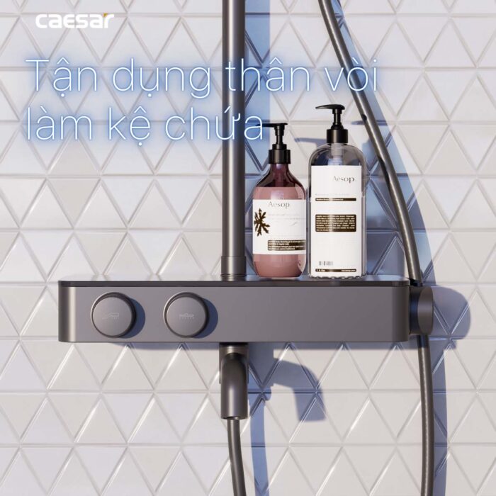 Vòi sen cây Caesar S788CB nhiệt độ - Ảnh 8