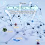 Nắp bồn cầu thông minh CAESAR TAF710H - Ảnh 14