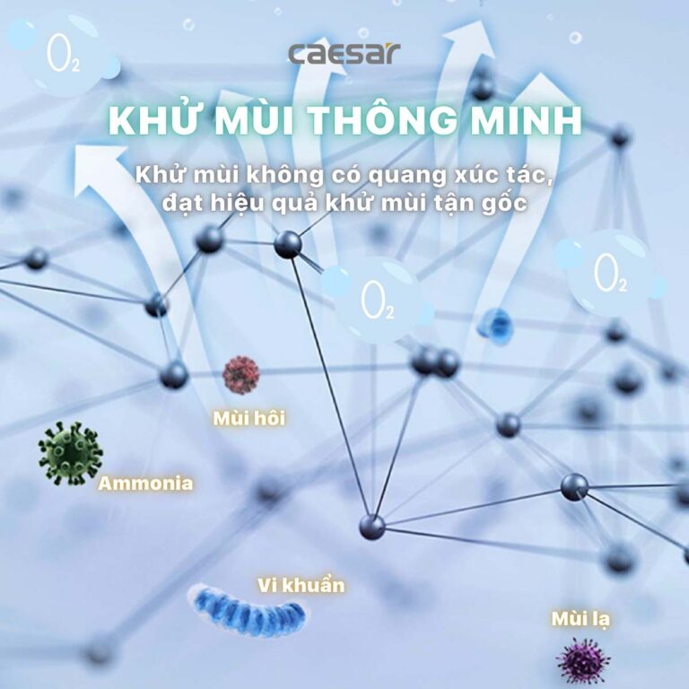 Nắp bồn cầu thông minh CAESAR TAF710H - Ảnh 14