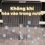 Vòi sen âm tường CAESAR BS659 nóng lạnh - Ảnh 11