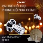 Van khóa T chia nước CAESAR BF428 - Ảnh 3