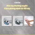 Vòi lavabo CAESAR B119C nước lạnh - Ảnh 5